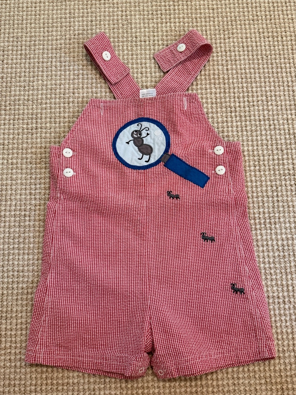 Red Gingham Kids Overalls with ants/magnifying glass Appliqué